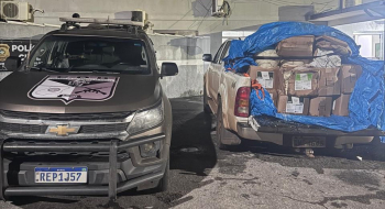 Operação apreende 800 kg de agrotóxicos contrabandeados